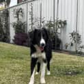 Photo of George