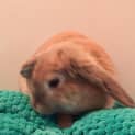 Photo of Cinnebun  See Her Video!