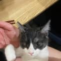Photo of Gloria   Located In Preston