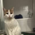 Photo of Friendly
