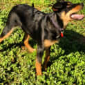 Photo of Rhani