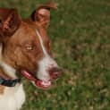 Photo of Leroy