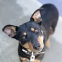 Photo of Tarnee