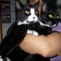 Photo of Bandita & Her Brother Bibby