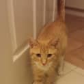 Photo of Marci