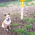 Photo of Lucy