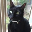 Photo of Evie
