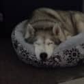 Photo of Mitsu