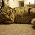Photo of Melly