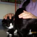 Photo of Bandita & Her Brother Bibby