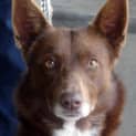Photo of Evie