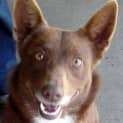 Photo of Evie