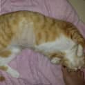 Photo of Marci