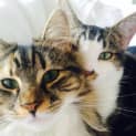 Photo of Cosette And Marius   Double The Fun!