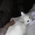 Photo of Little Miss