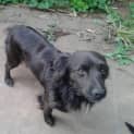 Photo of Phantom