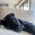 Photo of Emori