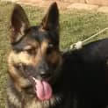 Photo of Precious On Trial In Her New Home