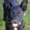 Photo of Remie