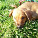Photo of Emmy