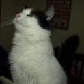 Photo of Effie