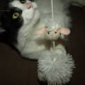 Photo of Effie