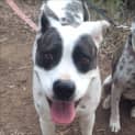 Photo of Lela