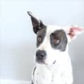 Photo of Lela