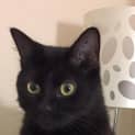 Photo of Carbon
