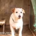 Photo of Rj