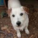 Photo of Rj