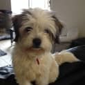 Photo of Annastacia *On Trial In Her New Home*