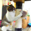 Photo of Claudia