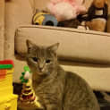 Photo of Tia