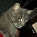 Photo of Tia