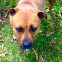 Photo of Cindy