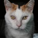 Photo of Buffy