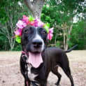 Photo of Princess