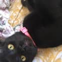 Photo of Tofu