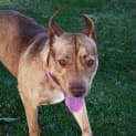 Photo of Molly Dl1063