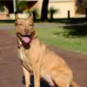 Photo of Molly Dl1063