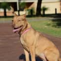 Photo of Molly Dl1063