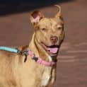 Photo of Molly Dl1063