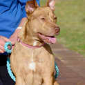 Photo of Molly Dl1063