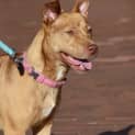 Photo of Molly Dl1063