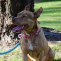 Photo of Molly Dl1063