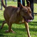 Photo of Molly Dl1063
