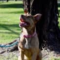 Photo of Molly Dl1063