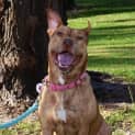 Photo of Molly Dl1063