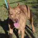 Photo of Molly Dl1063